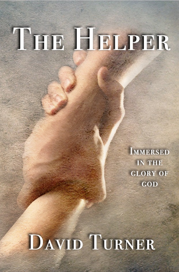 the-helper book david turner